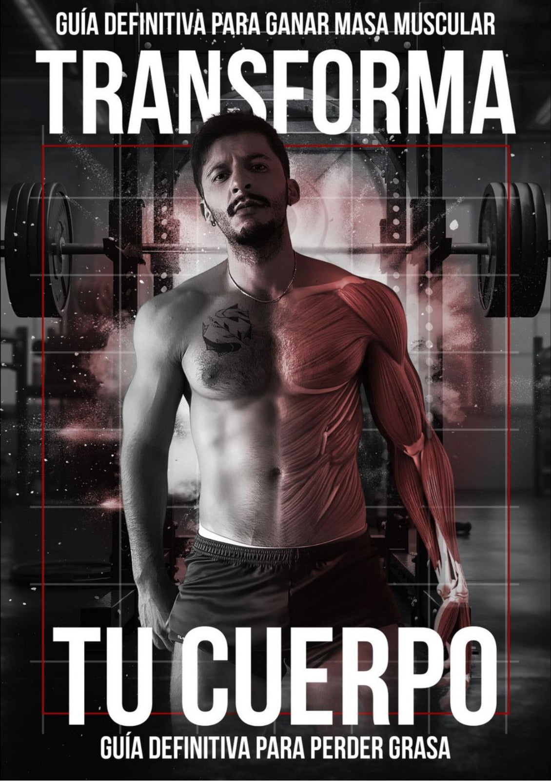 GUÍA DEFINITIVA PARA GANAR MASA MUSCULAR Y PERDER GRASA